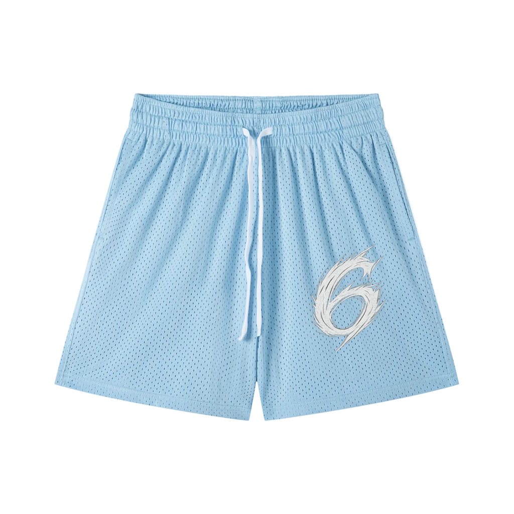 6 Mesh Shorts