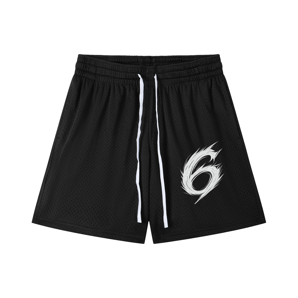 6 Mesh Shorts